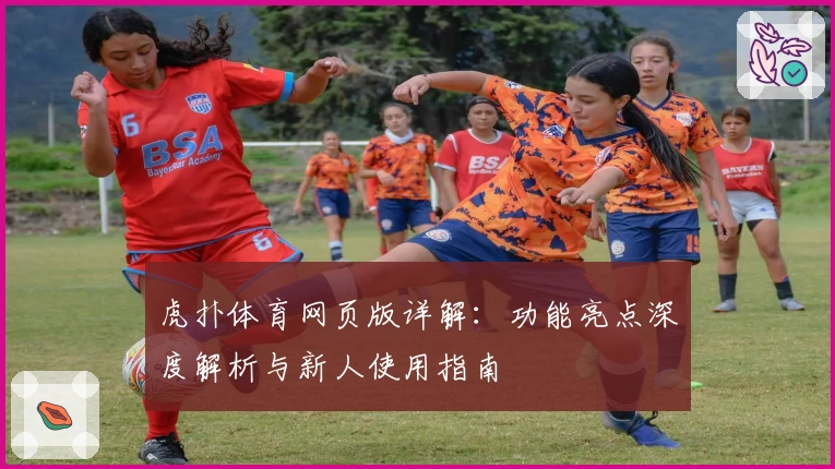 虎扑体育网页版详解：功能亮点深度解析与新人使用指南