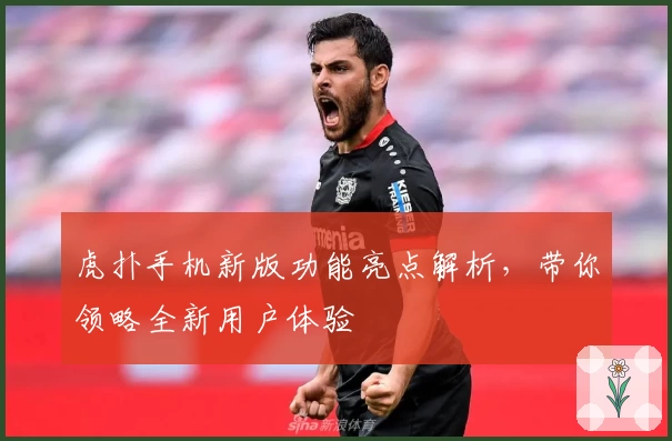 虎扑手机新版功能亮点解析，带你领略全新用户体验