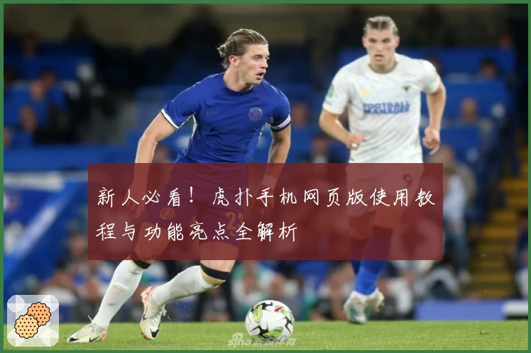 新人必看！虎扑手机网页版使用教程与功能亮点全解析