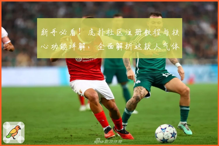 新手必看！虎扑社区注册教程与核心功能详解，全面解析这款人气体育互动平台
