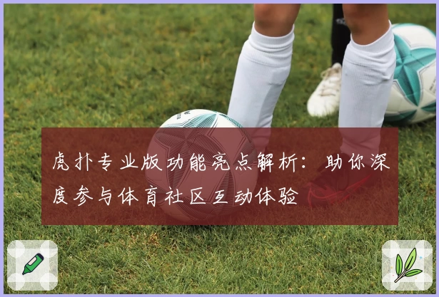 虎扑专业版功能亮点解析:助你深度参与体育社区互动体验